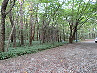 栃木県那須郡那須町大字高久乙3370-588：物件画像