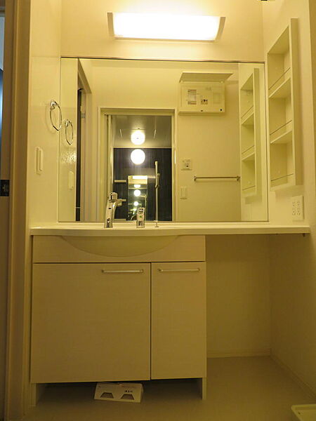 画像25:Dルームならではの大きな洗髪洗面化粧台です。
