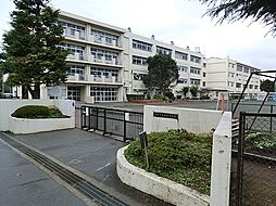 [周辺] 横浜市立折本小学校まで620m