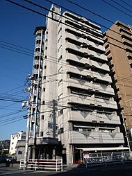 コスモス南蔵王