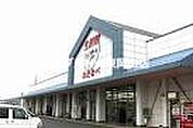 わたなべ生鮮館城東店 335m