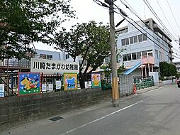 [周辺] 川崎たまがわ幼稚園まで803m