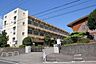 周辺：伊豆の国市立大仁小学校 730m