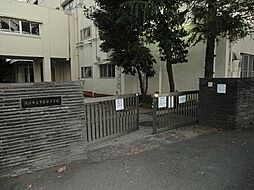[周辺] 横浜市立常盤台小学校まで405m