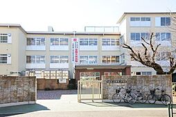 [周辺] 板橋区立赤塚第三中学校まで1200m、板橋区立赤塚第三中学校