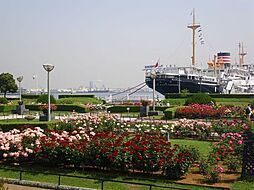 [周辺] 山下公園まで799m、海への眺望、記念碑や歌碑など見どころの多い公園です。横浜ベイブリッジや港を行き交う船の眺めがロマンチック。