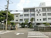 松山市立雄新中学校（305m）