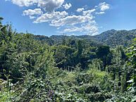 千葉県館山市加賀名235：物件画像