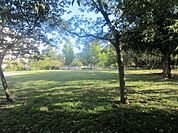 区立東山公園