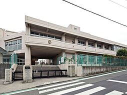 [周辺] 横浜市立さちが丘小学校 徒歩6分。 500m