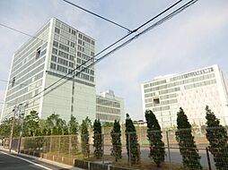 [周辺] 東京電機大学 490m