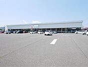 カワチ薬品 鮎川店（838m）