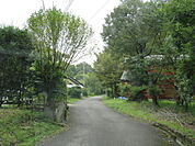 周辺の街路の様子　家はそれなりに建っており定住者もいる　それぞれの宅地はほぼ平坦　森林の別荘地というコンセプトのグリーンランド別荘地
