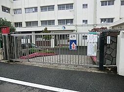 [周辺] 【小学校】横浜市立　羽沢小学校まで1037ｍ