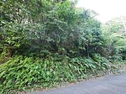家庭菜園などにお勧めです。