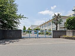[周辺] 藤沢中学校（1233m）