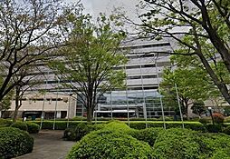 [周辺] 神奈川県立川崎図書館まで800m