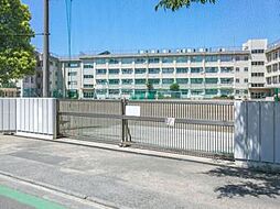 [周辺] 【中学校】葛飾区立新宿中学校まで157ｍ