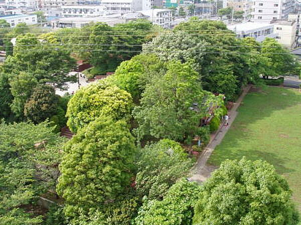 シャルムカサイ ｜東京都江戸川区東葛西６丁目(賃貸アパート1K・2階・19.87㎡)の写真 その26