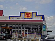 マツモトキヨシ上の原店（705m）
