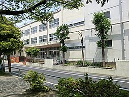 [周辺] 【綾瀬小学校】1962年創立、「かしこい子・やさしい子・たくましい子」を教育目標としている小学校。交通安全ボランティアが登下校中の児童を見守ります。