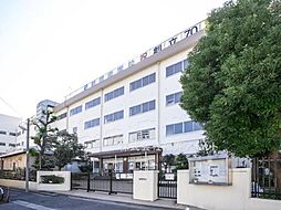 [周辺] 【中学校】葛飾区立新宿中学校まで194ｍ