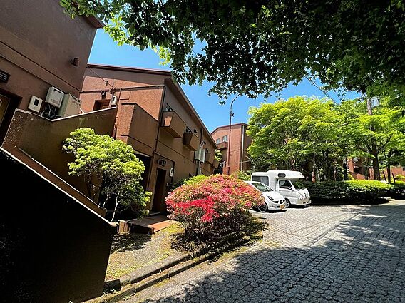 木陰の涼しさが...