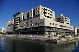 [周辺] 【総合病院】横浜市立みなと赤十字病院まで331ｍ