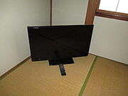 テレビ