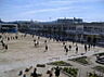周辺：寝屋川市立成美小学校まで493m