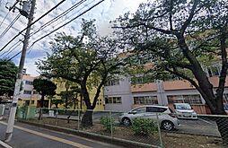[周辺] 新宿小学校　徒歩12分