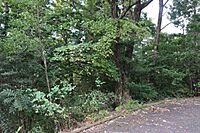 岐阜県多治見市旭ケ丘9丁目：物件画像