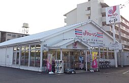 [周辺] 【スーパー】ジェーソン松戸五香西店まで785ｍ