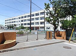 [周辺] 横浜市立上星川小学校　400m　 