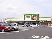 コープ新井店（257m）