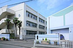 [周辺] 【中学校】横浜市立中川中学校まで1289ｍ