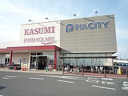 [周辺] 【スーパー】カスミ　ピアシティ宮代店まで1867ｍ