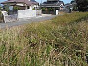 その他屋外