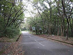 那須バケーションランド土地の土地画像