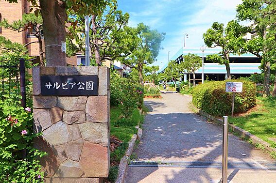 サルビア公園ま...