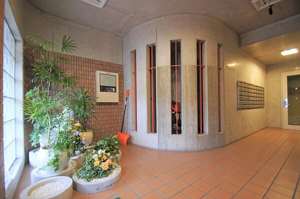 画像26:広い廊下には光と植物。癒しの空間です。