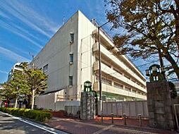[周辺] 横浜市立港中学校まで241m、周辺には、全国的にも知られる横浜中華街・元街商店街・山下公園・港の見える丘公園・山手外国人墓地等の観光地があります。