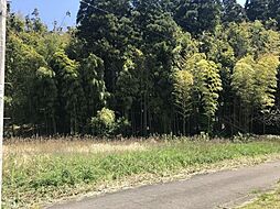 大字羽生田　売土地