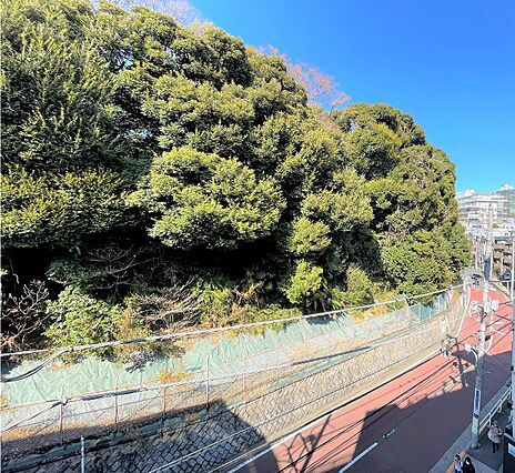 バルコニーから...