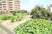 スギドラッグ岡崎上和田店まで　約450ｍ　徒歩約6分。家庭菜園にオススメ！！野菜の栽培から、収穫まで楽しめます。