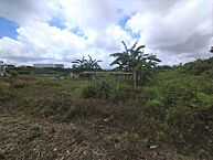沖縄県豊見城市根差部1番地：物件画像
