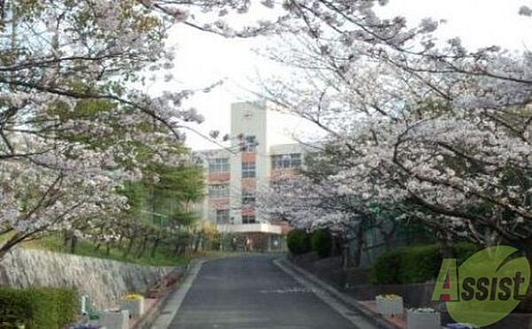 画像20:神戸市立横尾中学校 794m
