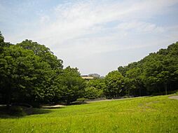 [周辺] 茅ヶ崎公園まで509ｍ