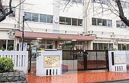 [周辺] 豊島区立駒込小学校 徒歩6分。 430m