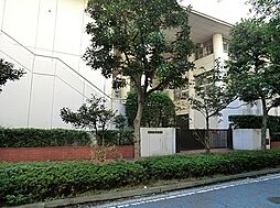 [周辺] 横浜市立港中学校まで336m